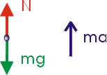 Free Body Diagram